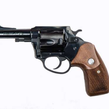 CHARTER ARMS CHARTER BULLDOG 44SPC BL/WD 3"