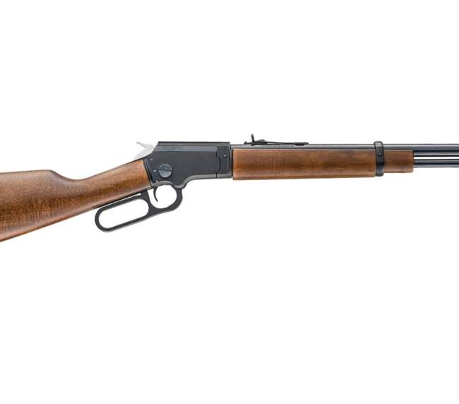 CHIAPPA FIREARMS LA322 TAKEDOWN 22LR 18.5" BLK