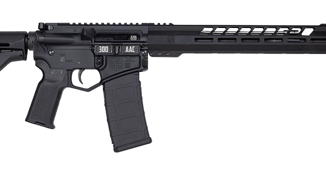 DIAMONDBACK FIREARMS DB15BG 300BLK BLACK 16" V RAIL