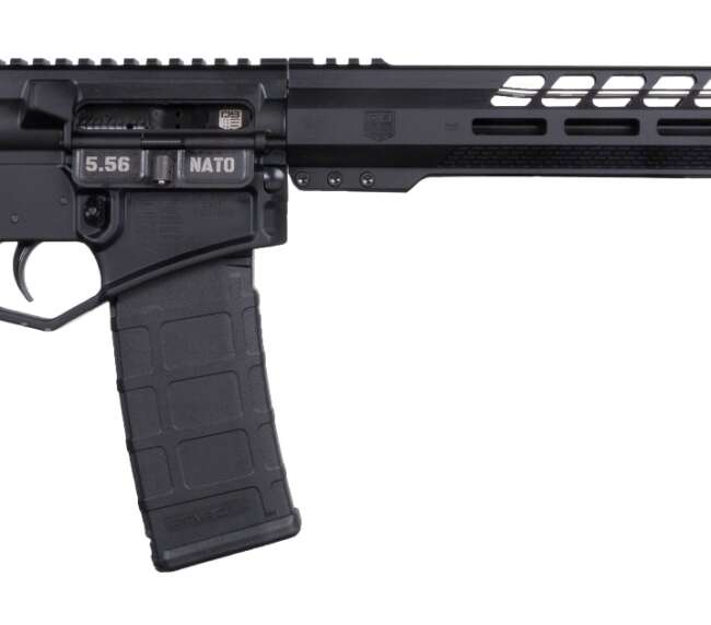 DBF DB15 BLKGLD 556 RFL 16B 30