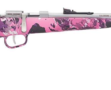 HENRY REPEATING ARMS H5 MINI BOLT G2 22LR SS/MUDDY