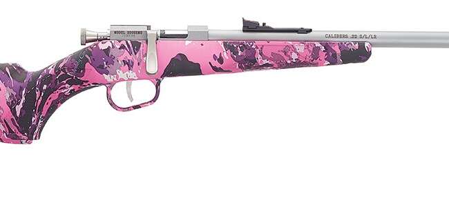 HENRY REPEATING ARMS H5 MINI BOLT G2 22LR SS/MUDDY