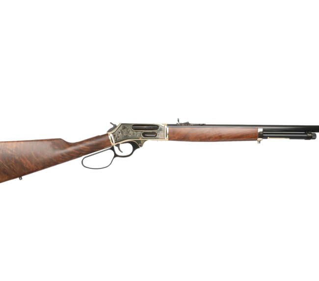 HENRY REPEATING ARMS H10 BIG BOY WILDLIFE 45-70