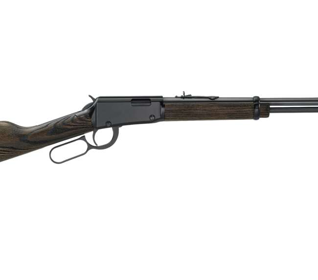 HENRY REPEATING ARMS H1 GARDEN GUN 22MAG BL/WD