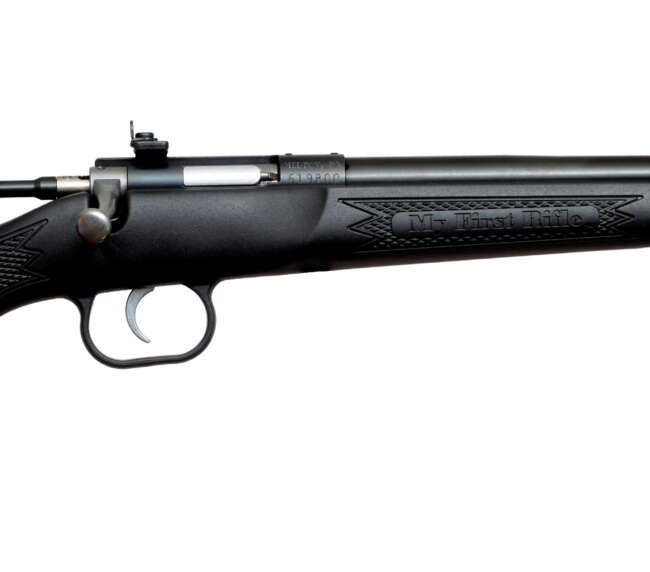 KEYSTONE SPORTING ARMS CRICKETT 22MAG BL/BLACK SYN