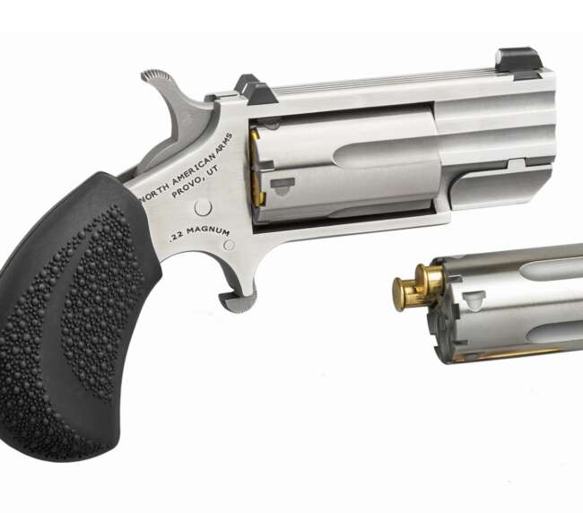 NORTH AMERICAN ARMS PUG 22MAG/22LR 1" SS CONV