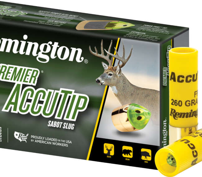 REM 20G SLSAB 3-260 ATIP 5RD