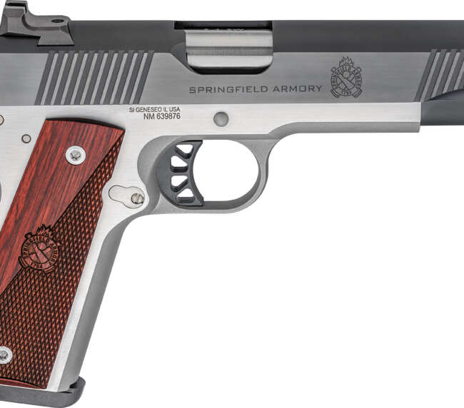 SPRINGFIELD ARMORY RONIN 1911 10MM 5" BL/SS
