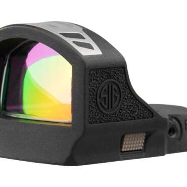 SIG SAUER ROMEO-RS PRO CIRCLE DOT BLK