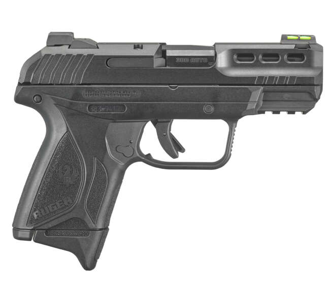 RUGER SECURITY-380 380ACP BLK 10+1