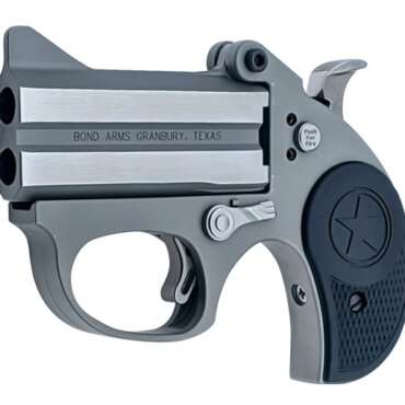 BOND ARMS STINGER 38SPC SS 3" FS