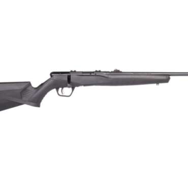 SAVAGE ARMS B22 COMPACT 22MAG BL/SYN 18"