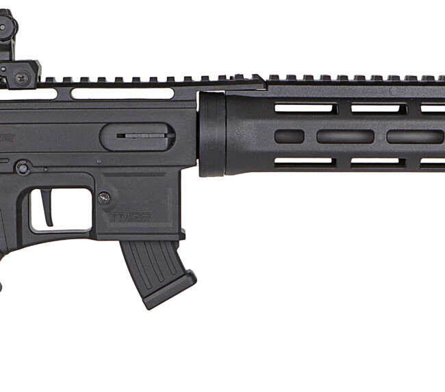 DERYA ARMS TM22 FLASH 22LR BLK 18" 10+1