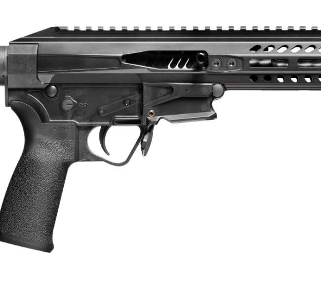 POF USA PSG .22LR PISTOL 8" BLK BRACE