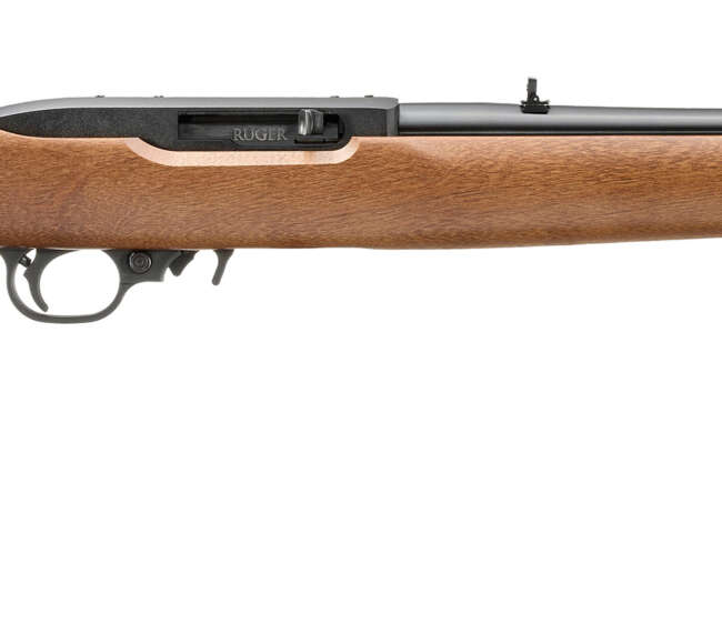 RUGER 10/22 CARBINE 22LR BL/WD 10+1