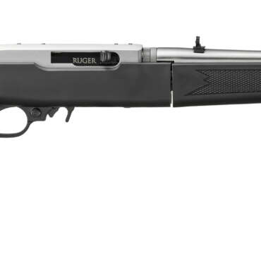 RUGER 10/22 TD 22LR SS/SYN 18.5"