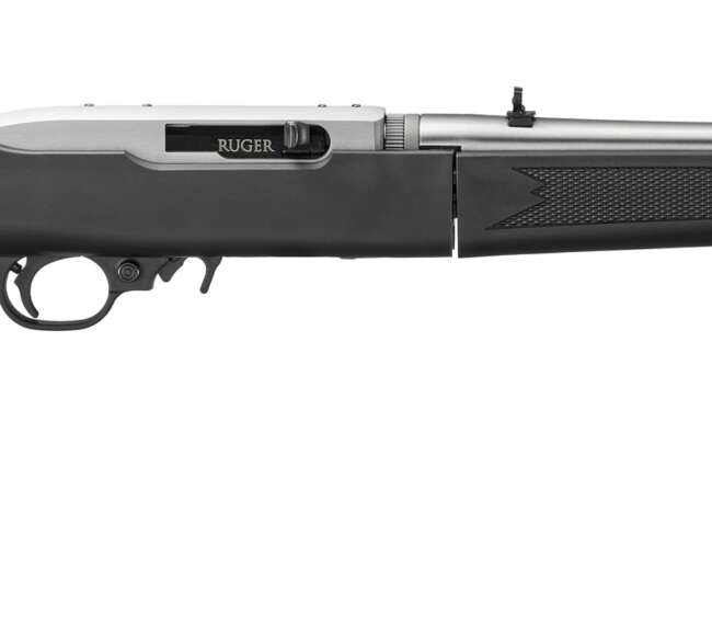 RUGER 10/22 TD 22LR SS/SYN 18.5"