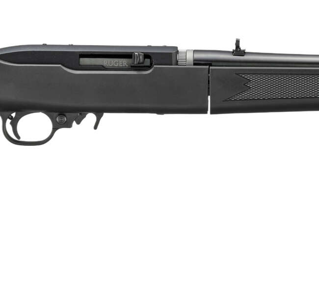 RUGER 10/22 TD 22LR BL/SYN SUPP 16"