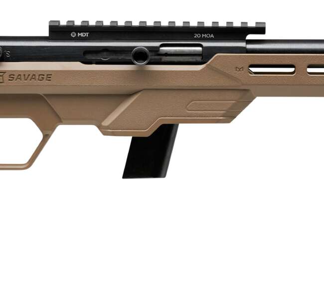 SAVAGE ARMS 64 PRECISION 22LR BL/FDE 10+1