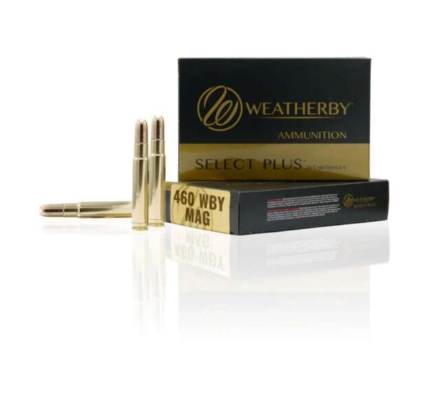 WEATHERBY 460WBY 450GR BARNES TSX