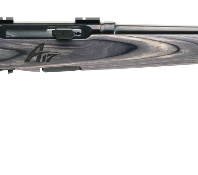 SAVAGE ARMS A17 SPORTER 17WSM BL/LAM 22"