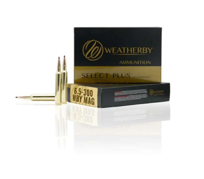 WEATHERBY 6.5-300WBY 140GR SWIFT A-FRME#
