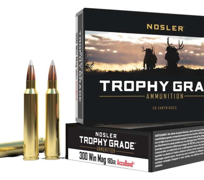 NOS 300 180GR TG ACUBND 20RD