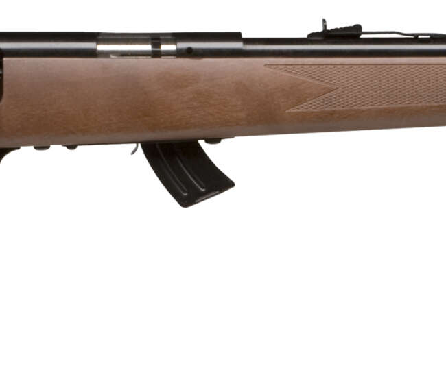 SAV MARK II-GY 22LR BA 10RD B
