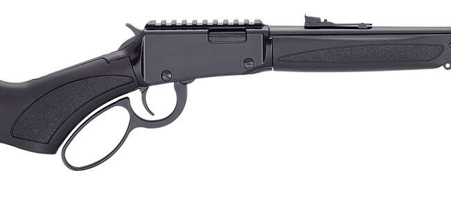 HENRY REPEATING ARMS H1 X 22LR BL/SY 16.5" TB