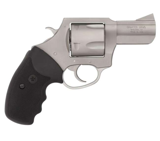 CHARTER ARMS BULLDOG 45LC STAINLESS 2.5"