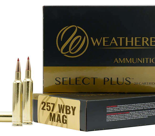 WEATHERBY 257WBY 100GR SCIROCCO