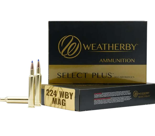 WEATHERBY 224WBY 50GR HORNADY V-MAX