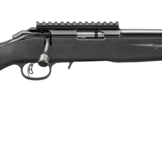 RUG AM RFL RF 17HMR RL 9R TB