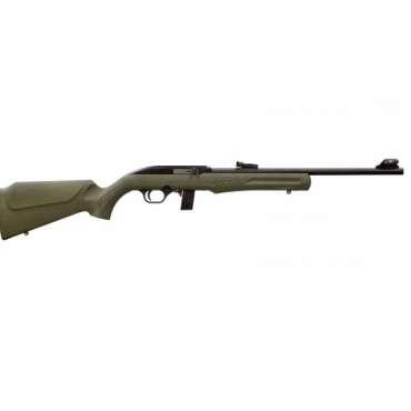 ROSSI RS22 22LR BLK/ODG 18" 10+1