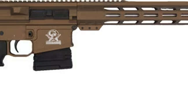 GLF GL10 308 RFL 18SS 10RD BRZ