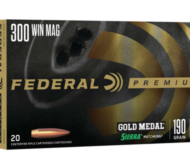 FDR 300 190GR SMK BTHP 20RD
