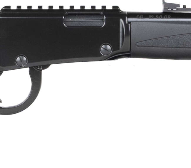 HEN X MODEL LVR 22WMR