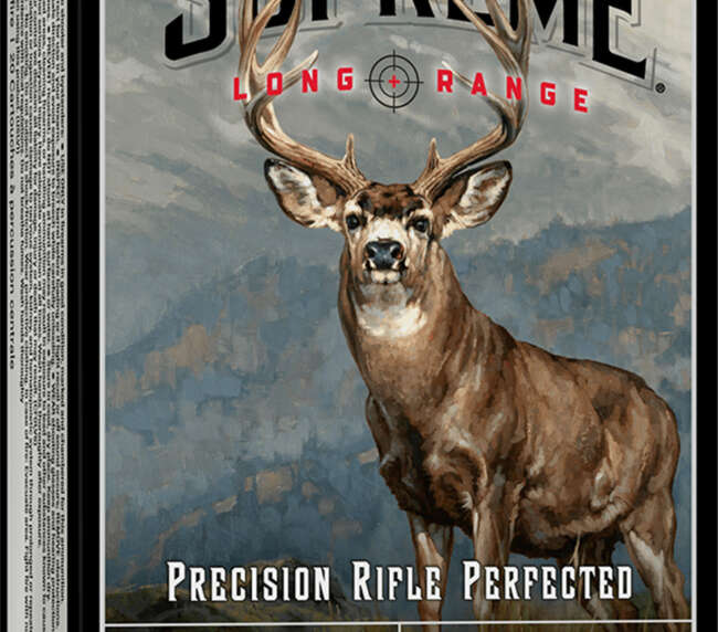 WIN 30-06 195GR SUPREME LR 20R