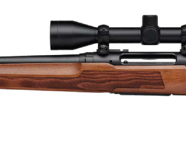 SAVAGE ARMS AXIS 2 25-06 WOOD 22" PKG LH