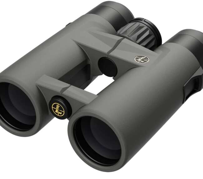 LEUPOLD BX-4 PG HD BINO 10X42 GREY