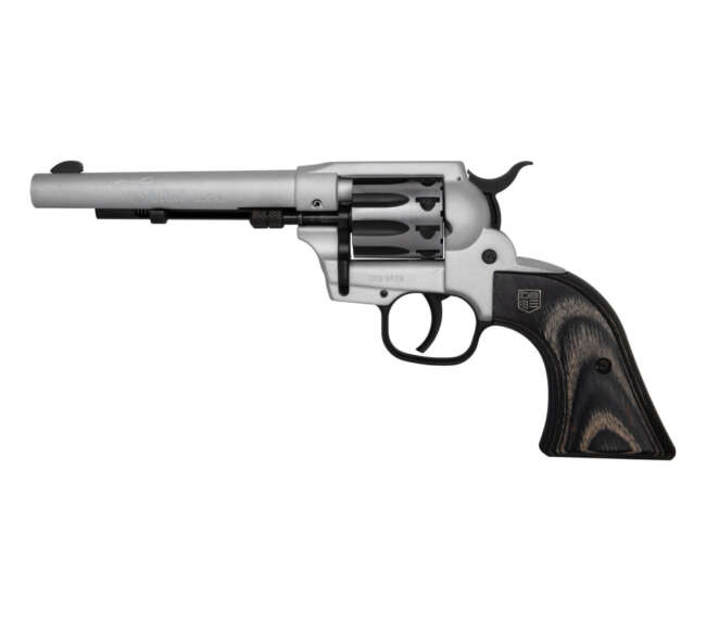 DIAMONDBACK FIREARMS SIDEKICK 22LR/22M SILVER 5.5"