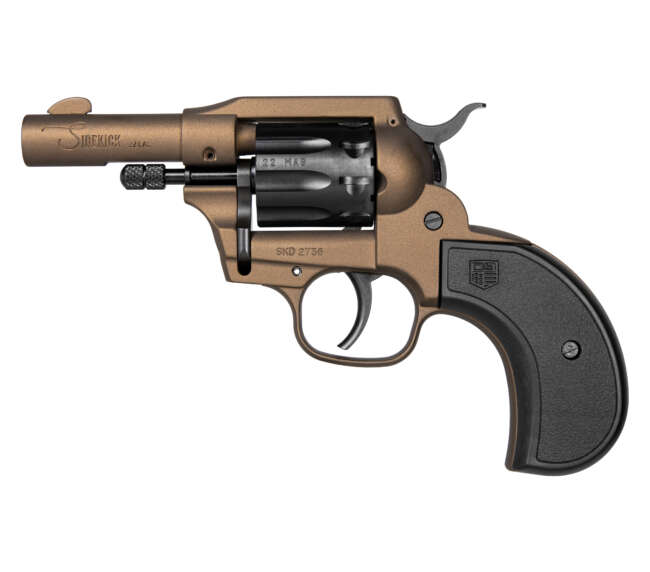 DIAMONDBACK FIREARMS SIDEKICK 22LR/22M BZ BIRDSHEAD