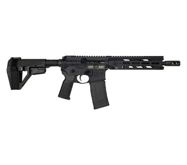 DIAMONDBACK FIREARMS DB15O 300BLK BLACK 10" BRACE