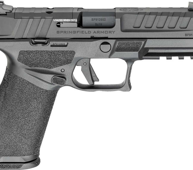 SPG ECHEL 9MM COMP 10RD CA
