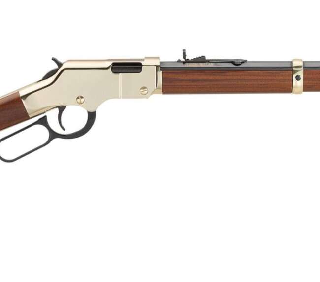 HENRY REPEATING ARMS H4 GOLDEN BOY 22MAG BL/WD