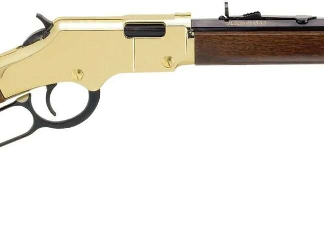 HENRY REPEATING ARMS H4 GOLDEN BOY 22LR BL/WD CPT
