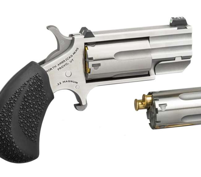 NORTH AMERICAN ARMS PUG 22MAG/22LR 1" SS CONV NS