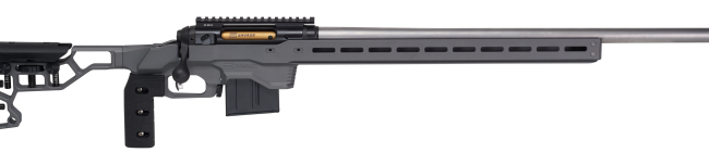 SAVAGE ARMS 110 ELITE PRECISION 223REM