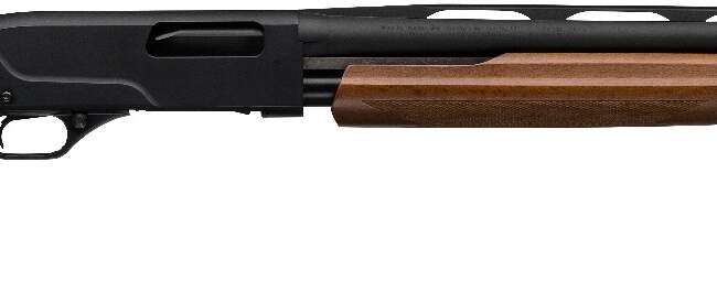 WINCHESTER SXP FIELD CPT 20/18 BL/WD 3"