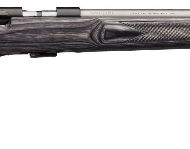 BRN T-BOLT TGT/VAR LAM 17HMR